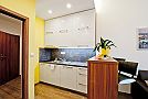 Top Prague Apartments - APARTMENT YELLOW Kuchyňa