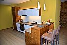 A404 LAGEMA - Apartmán A404 LAGEMA Kuchyňa